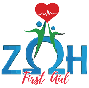 https://hrinaction.boussiasevents.gr/wp-content/uploads/2026/06/zoifirstaidlogo-vector-1-1.png